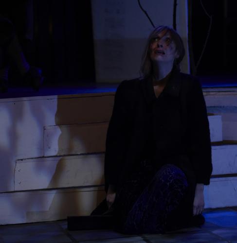 She Stoops to Conquer - photo (c) Simon Way