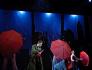 Singin' in the Rain - photo (c) Adam Levy