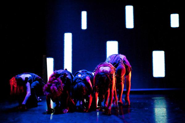 Matrix - photo (c) Robert Viglasky