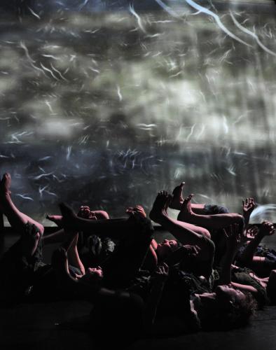 Matrix - photo (c) Paul Freestone