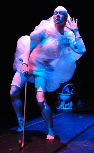 Matrix - photo (c) Paul Freestone