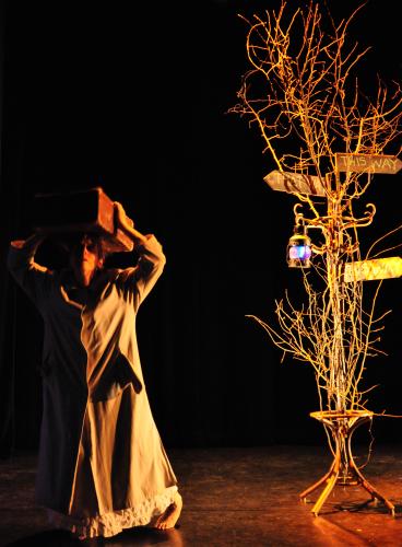 Matrix - photo (c) Paul Freestone