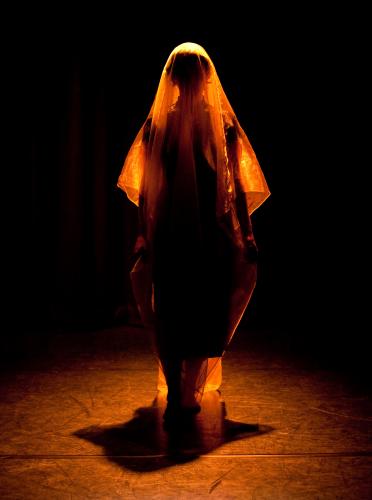 Matrix - photo (c) Robert Viglasky