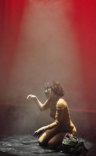 Matrix - photo (c) Paul Freestone