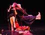 Matrix - photo (c) Paul Freestone