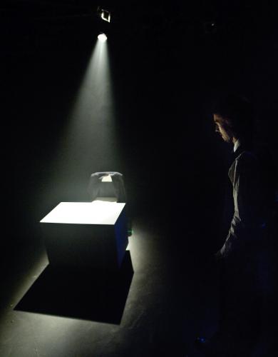 Waiting Like a Man - photo (c) Adam Levy