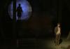 The Cunning Little Vixen - photo (c) Simon Kenny