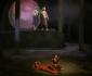 The Cunning Little Vixen - photo (c) Simon Kenny