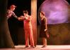 The Cunning Little Vixen - photo (c) Simon Kenny