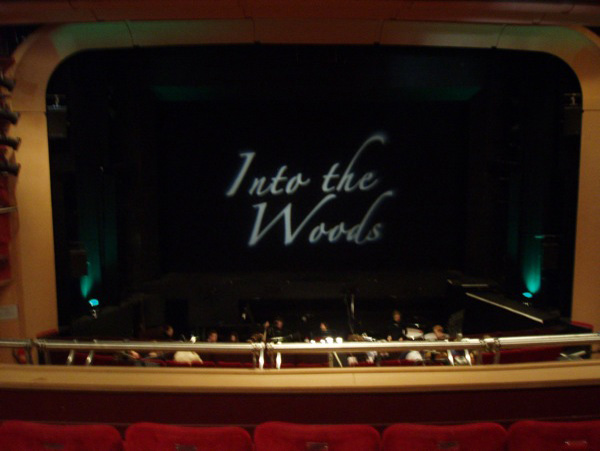 Into the Woods - photo (c) Rick Malins