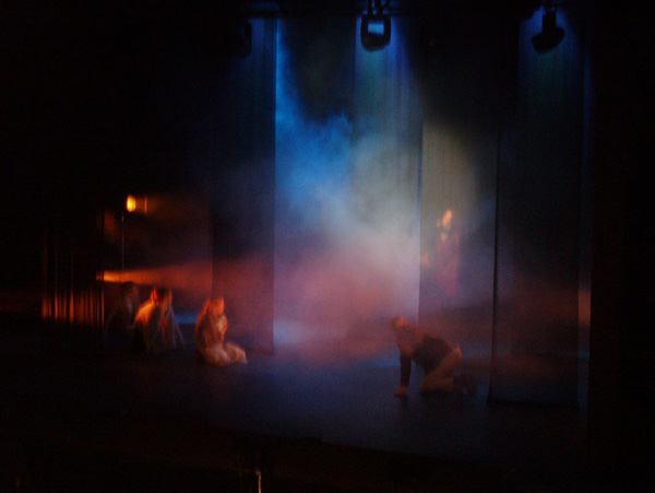 Into the Woods - photo (c) Rick Malins