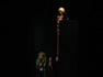 Into the Woods - photo (c) Rick Malins