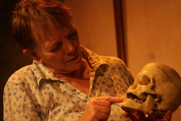 Origin of the Species - photo (c) Nicky Collins