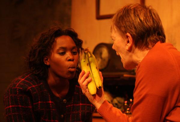 Origin of the Species - photo (c) Nicky Collins