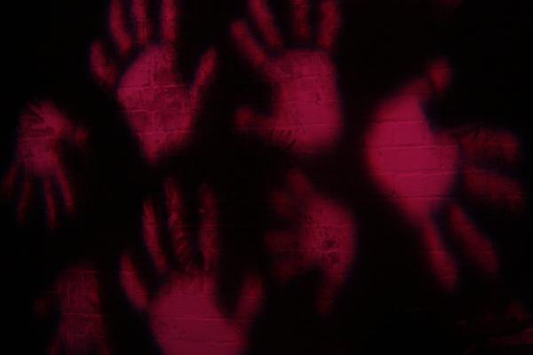 Origin of the Species - photo (c) Nicky Collins