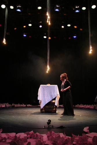 Hedda - photo (c) Nicky Collins